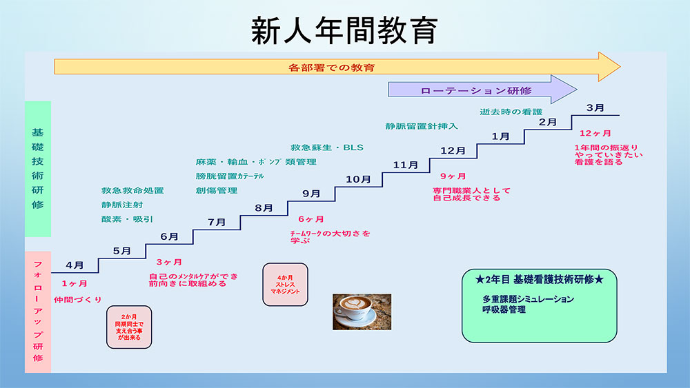 新人年間教育